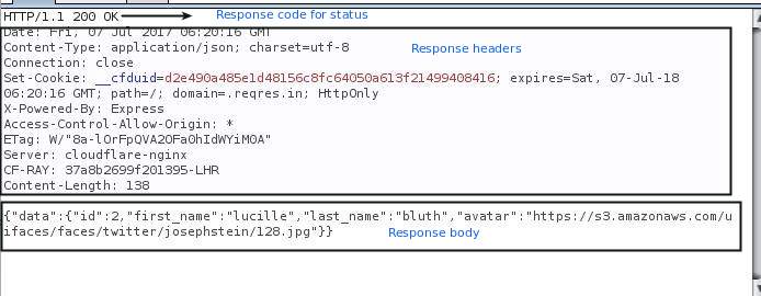 Beginner’s Guide to RESTful API VAPT Part 1