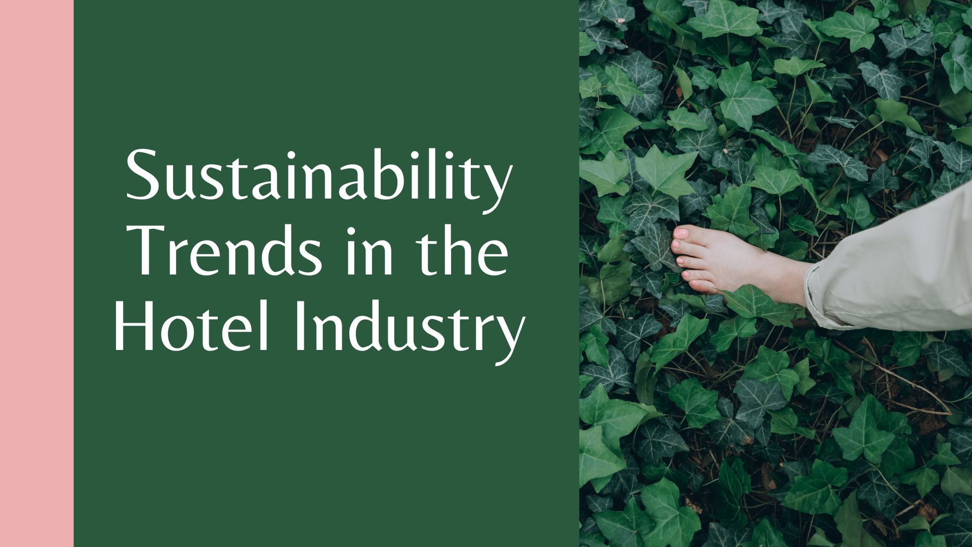 Sustainability Trends in the Hotel Industry