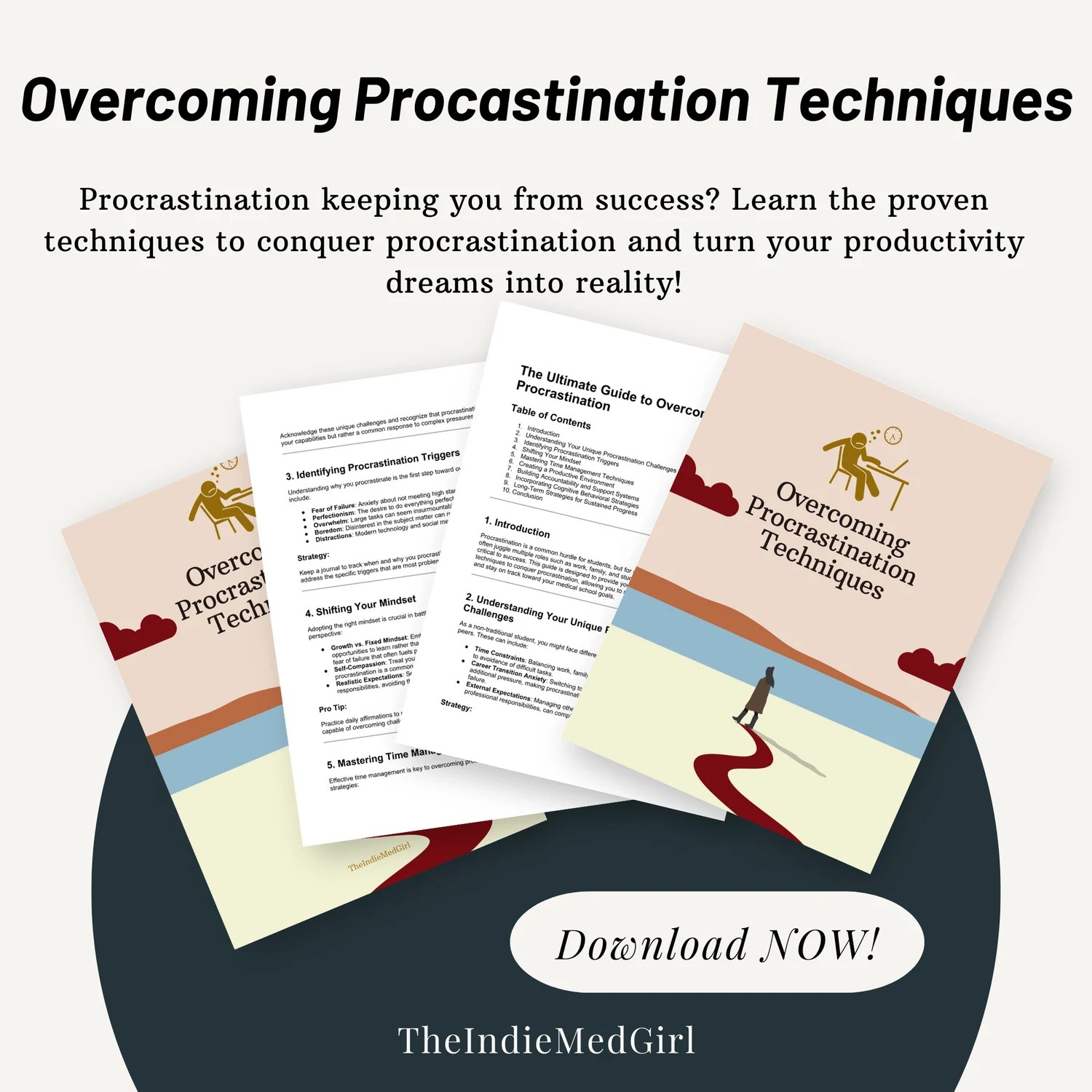 The Ultimate Guide to Procrastination Payhip