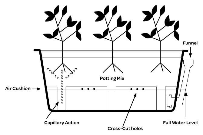 "Rain Garden" Self Watering Planters that Collect Rainwater Mary