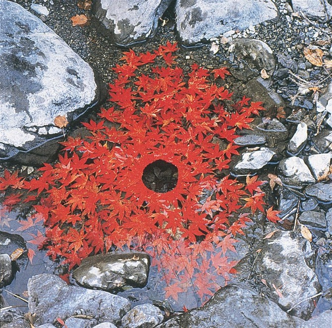 Natural sculptures by Andy Goldsworthy USA Art News