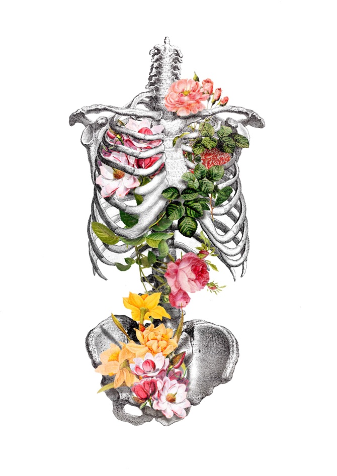 Our Artists Jimmy Fardouly Glue Store