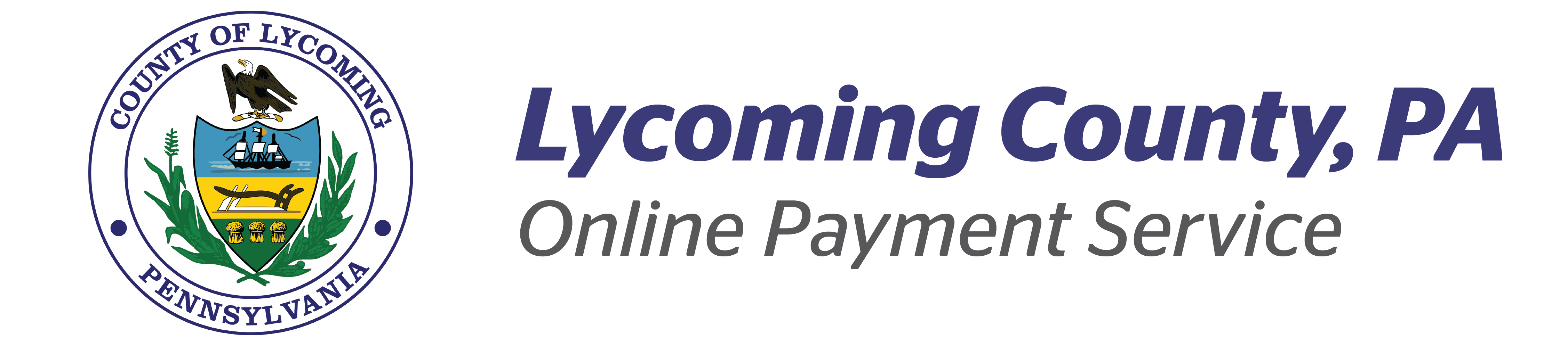 Online Payment Service by VPS