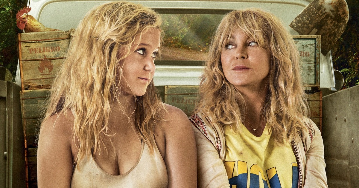 Snatched Movie Review Pay Or Wait