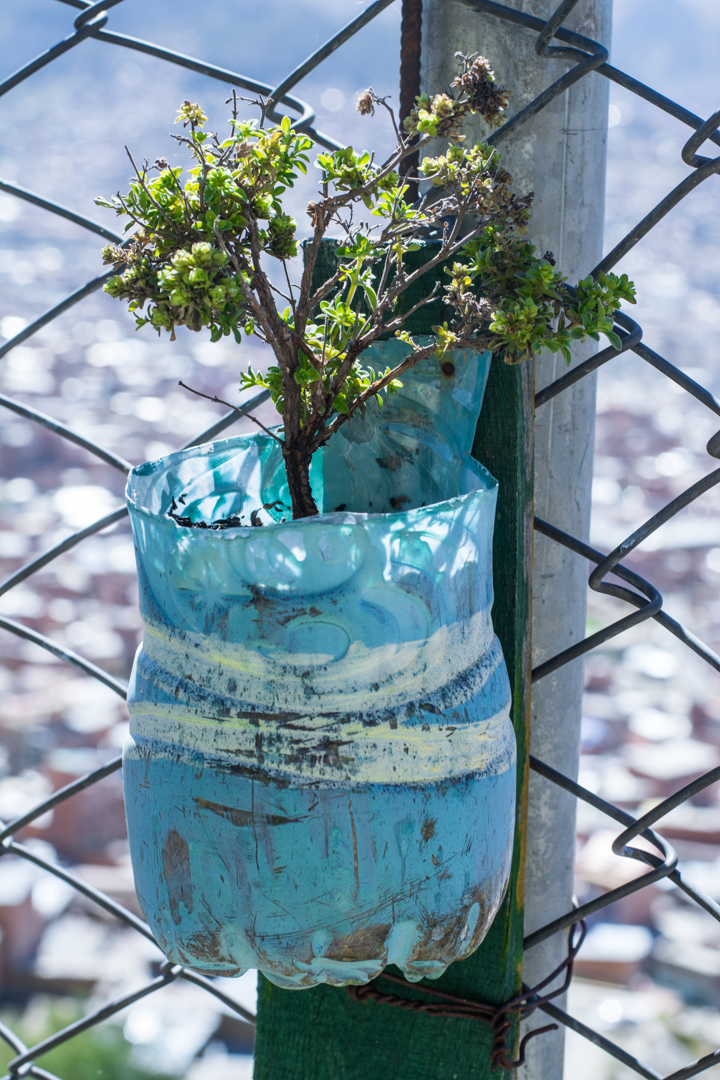 Jardin maraîcher à La Paz - Maria-Theresa l'instigatrice du projet à La Paz