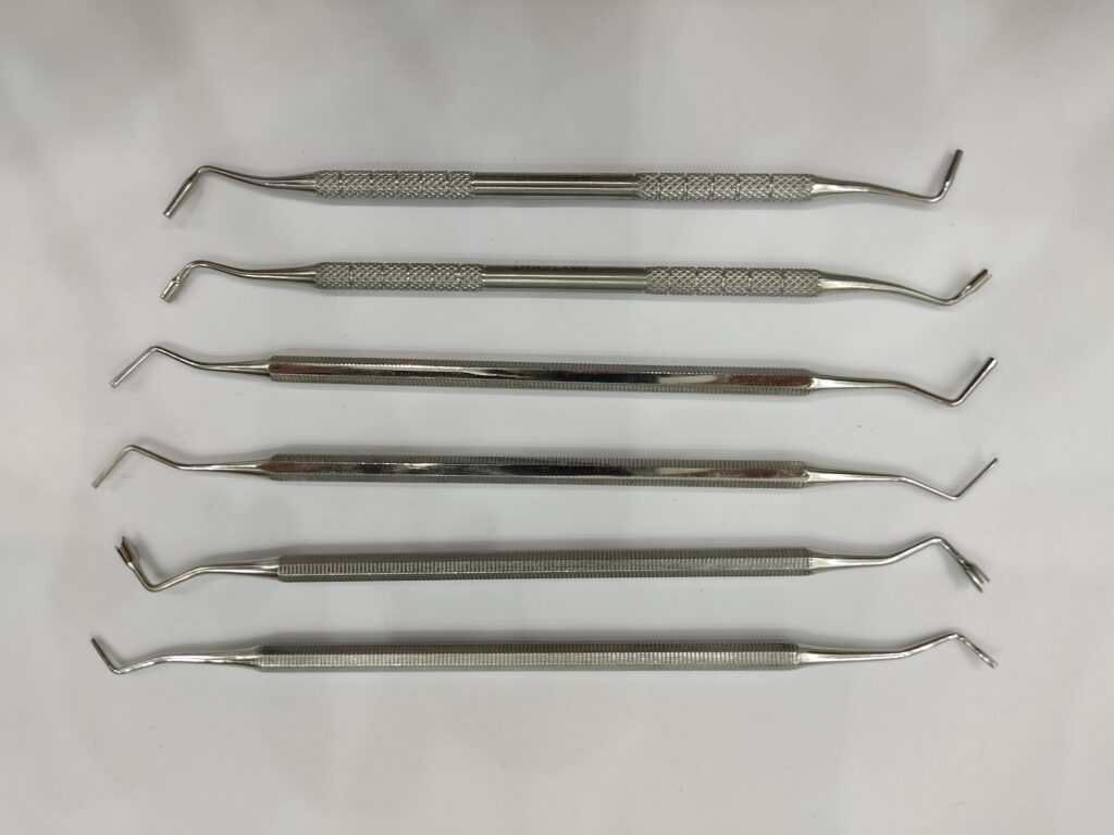 Periosteal Elevator Paytekht Company