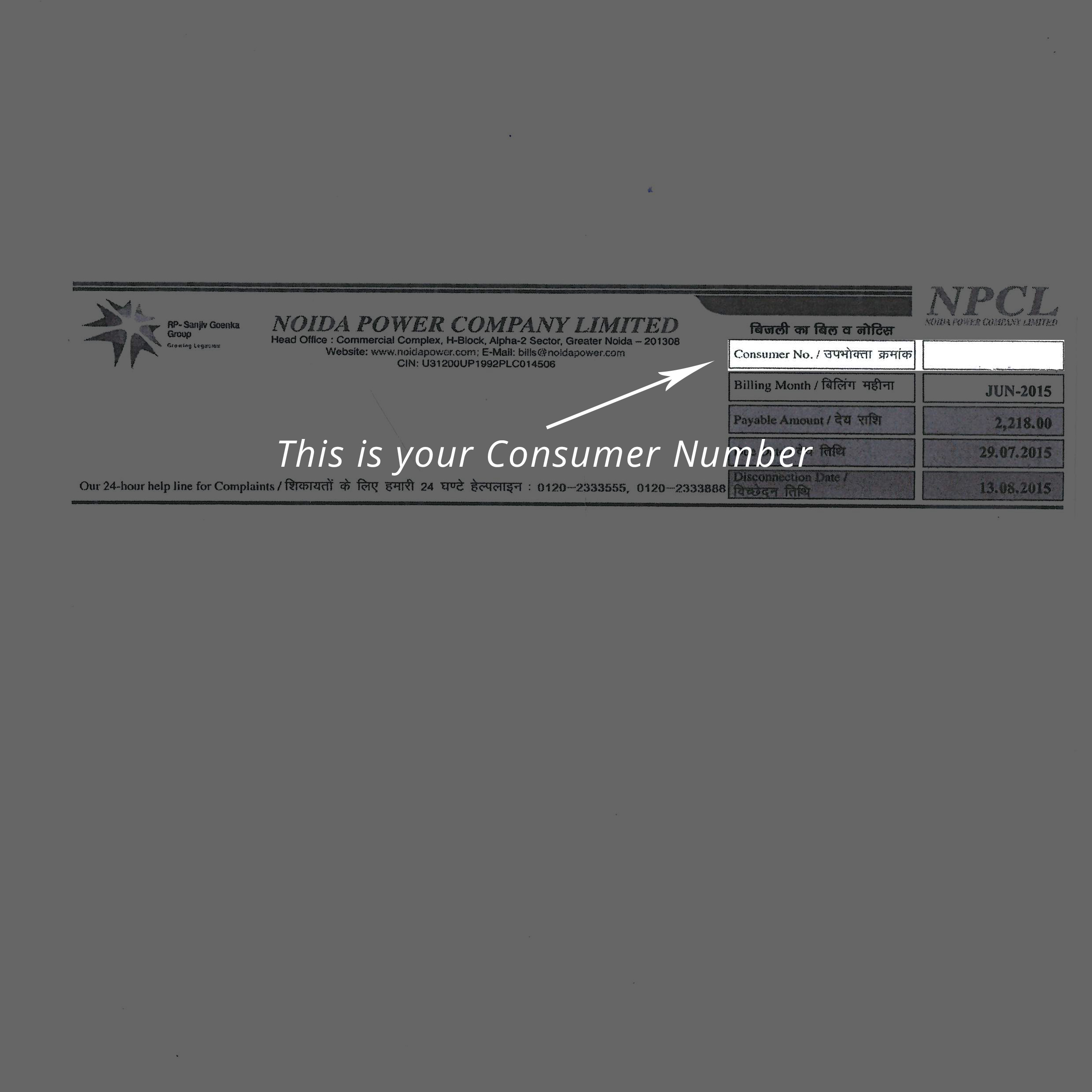 NPCL Make NPCL Electricity Bill Payment Noida Electricity Bill