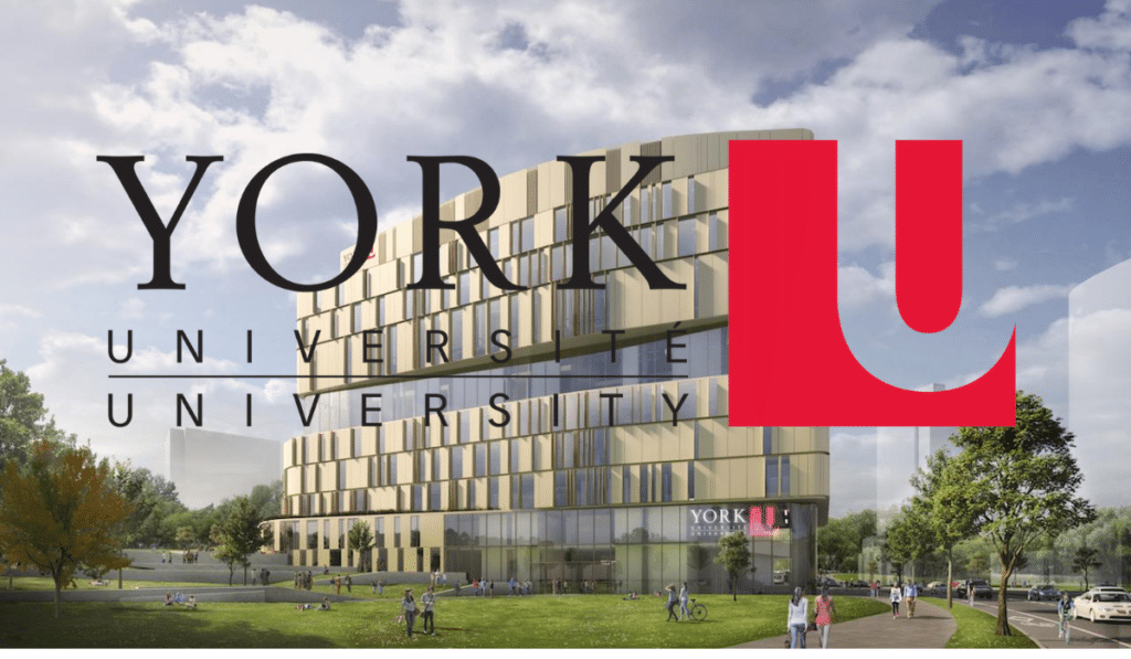 York University International Student Scholarships 2023 New paid
