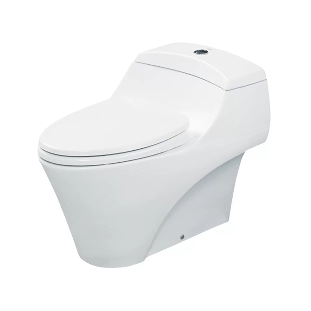 TOTO One Piece Toilet