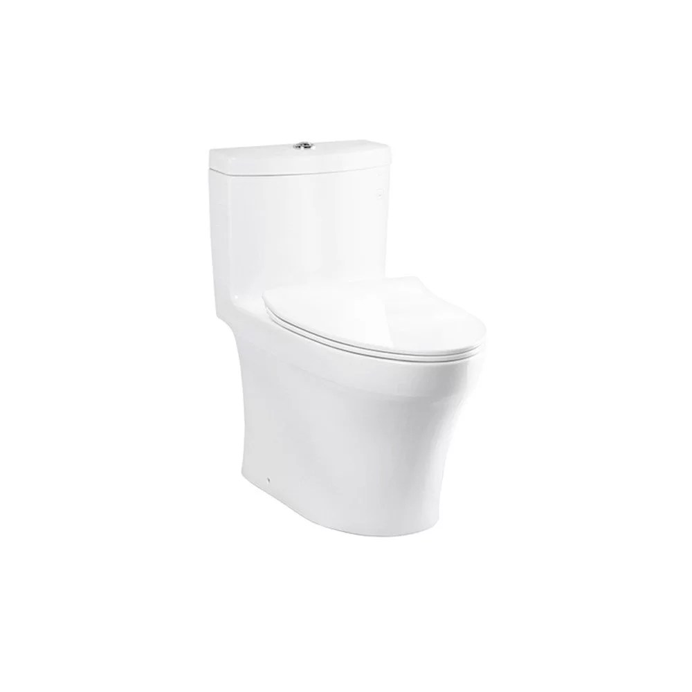TOTO One Piece Toilet