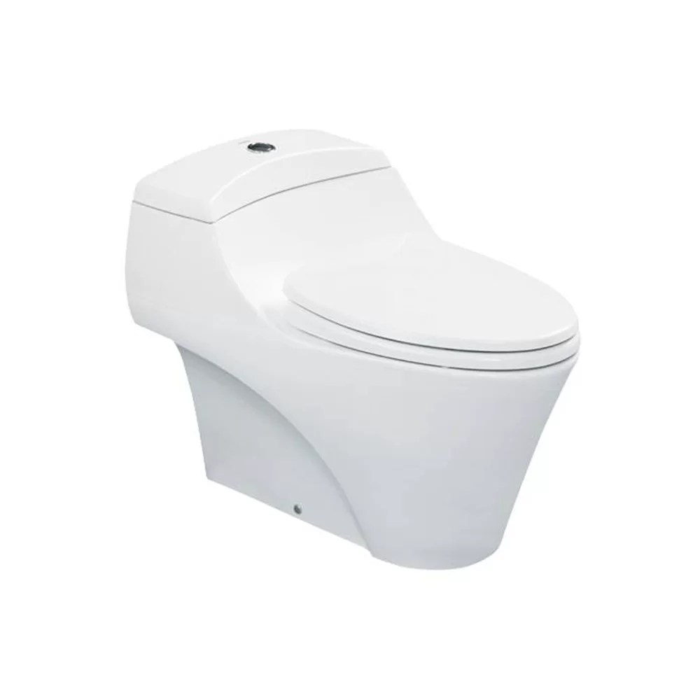 TOTO One Piece Toilet