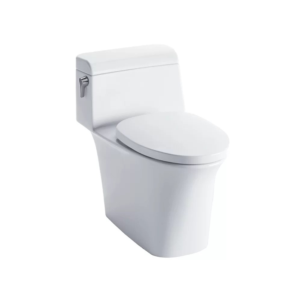 TOTO One Piece Toilet