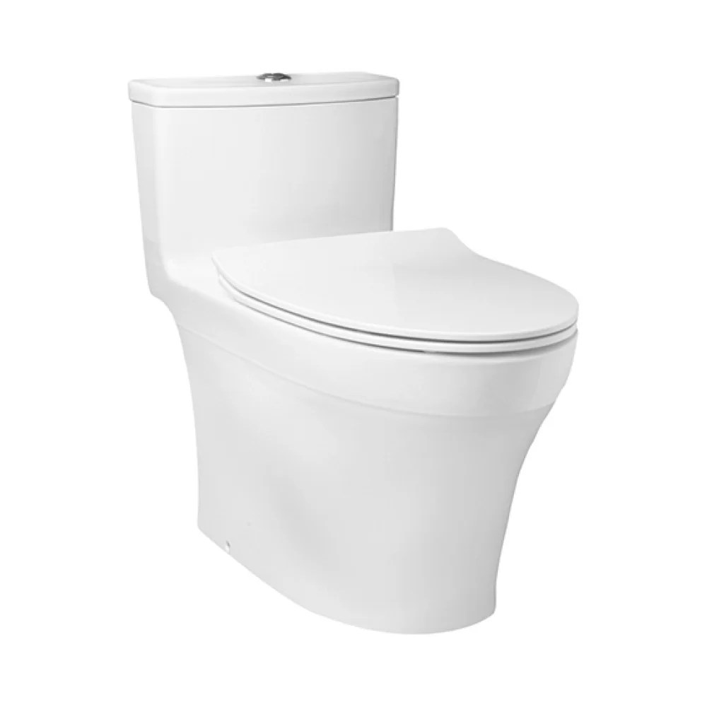 TOTO One Piece Toilet