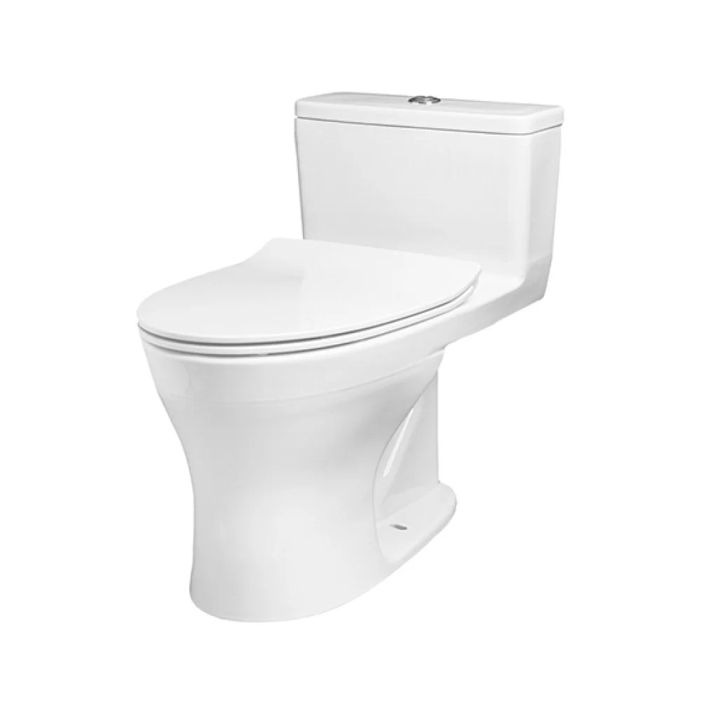 Toto One Piece Toilet