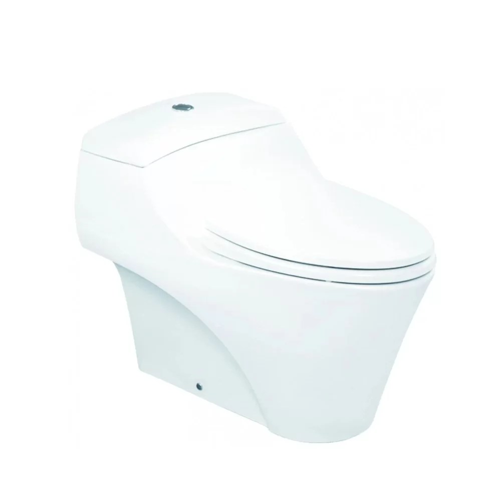 TOTO One Piece Toilet
