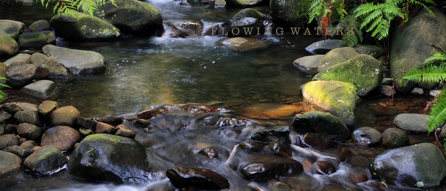 Flowing Waters Photo Gallery by Range View at