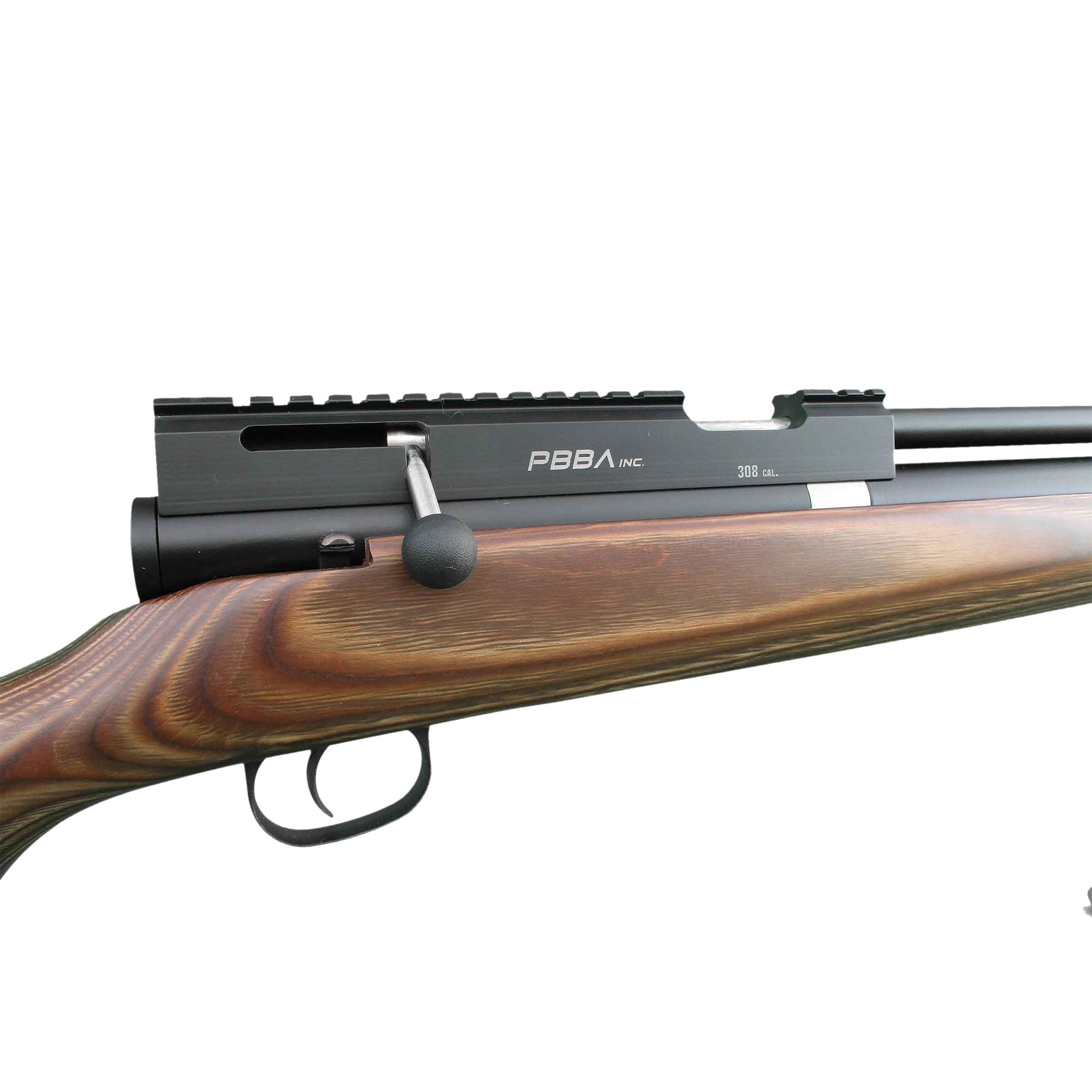 Pro Air Rifle Hunting Big Bore Air Guns by PBBA Inc