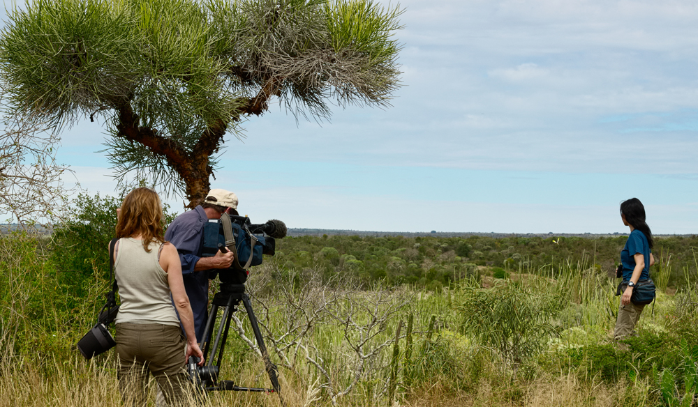 Location Scouting Tips The Whys and Hows of Where