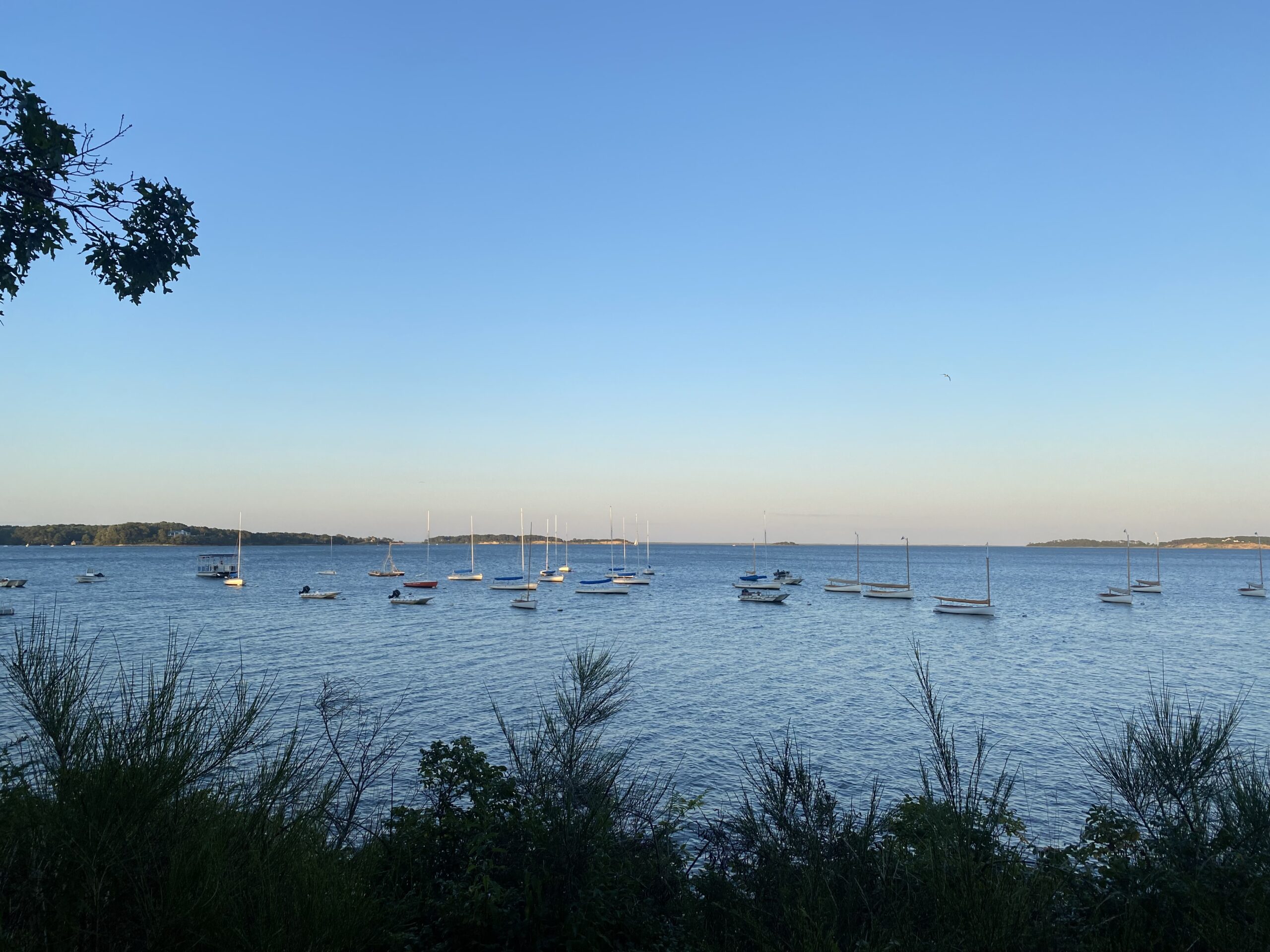 Pleasant Bay Community Boating Contact Us 508945SAIL (7245)