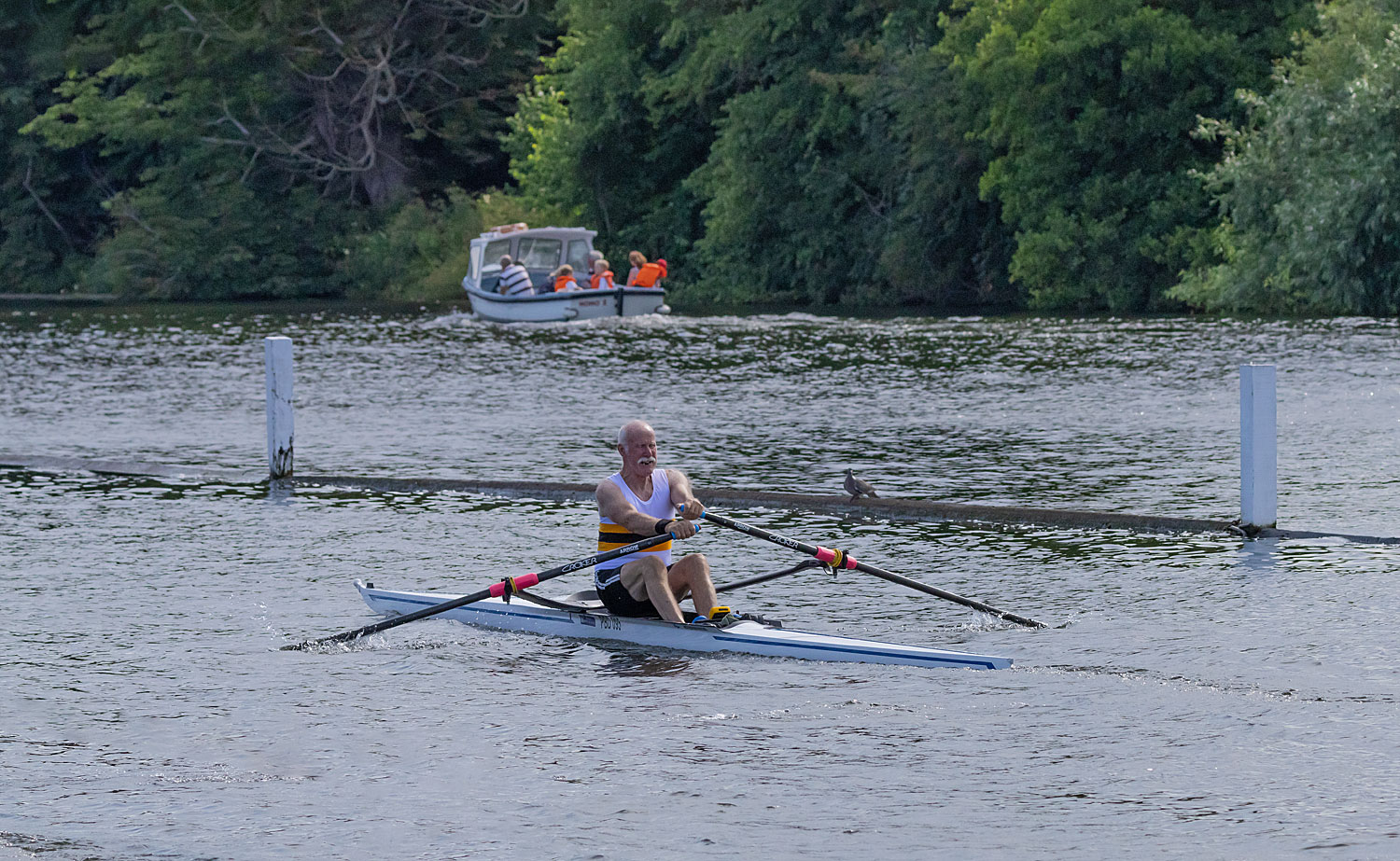 Bob Milligan wins OMasH1x at Henley Masters Poplar, Blackwall