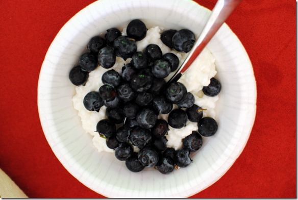 blueberry cottage cheese