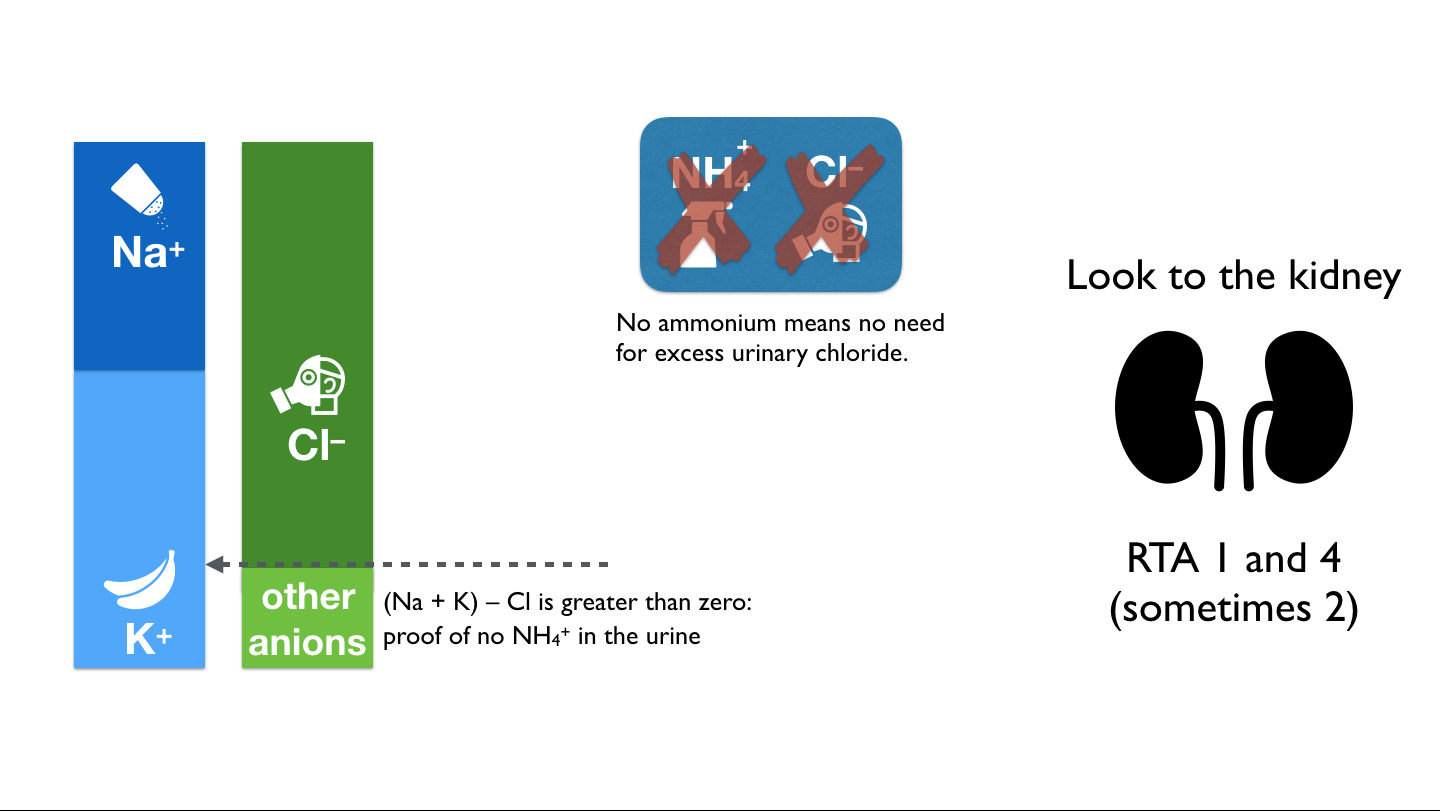 urine osmolar gap Precious Bodily Fluids