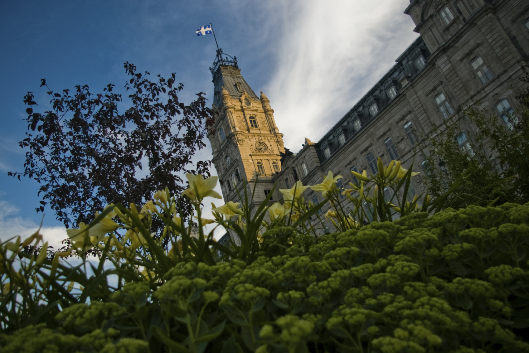 Bill 68 A New Framework Proposed by the Quebec Government for the