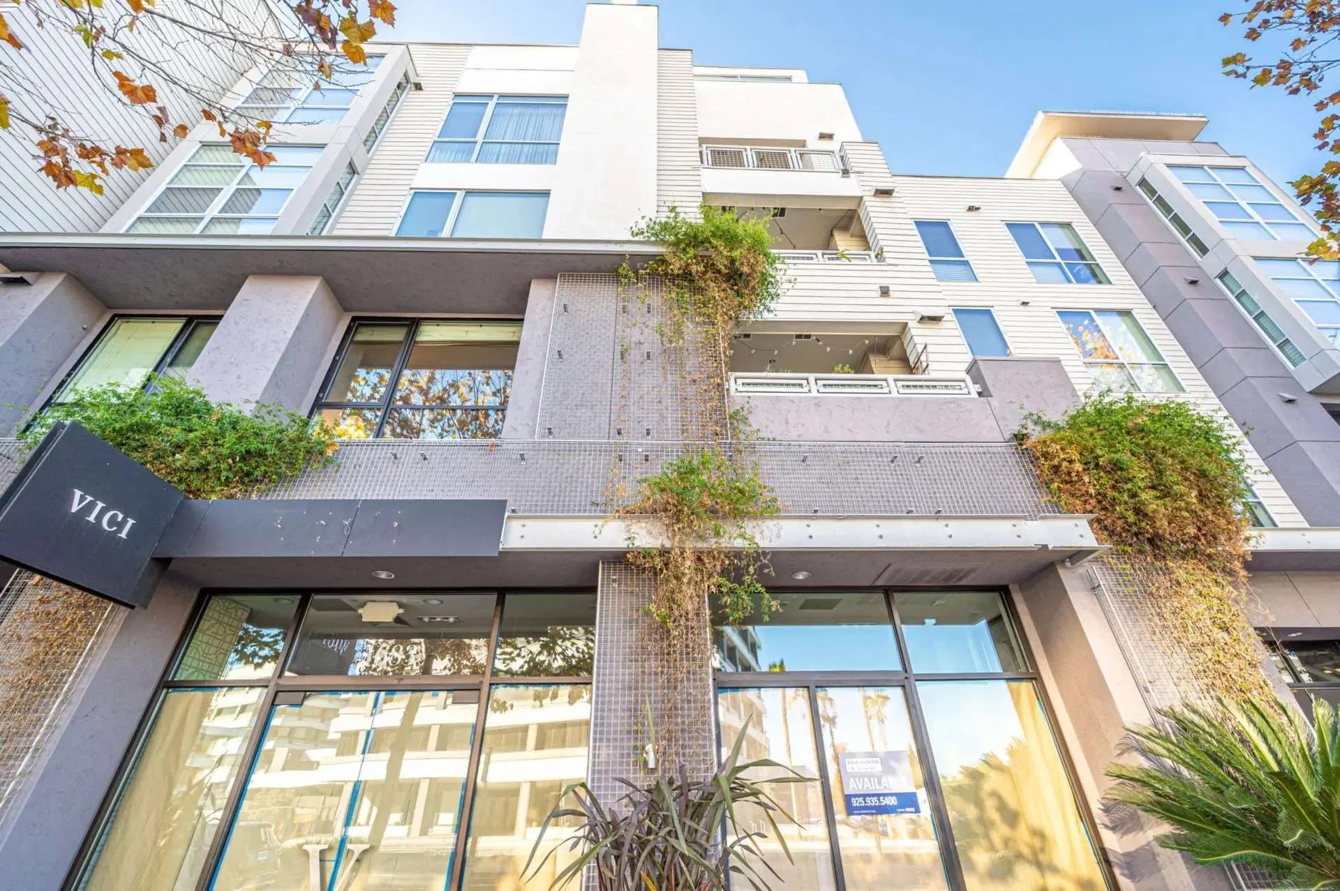 Mercer Walnut Creek Palisade Builders