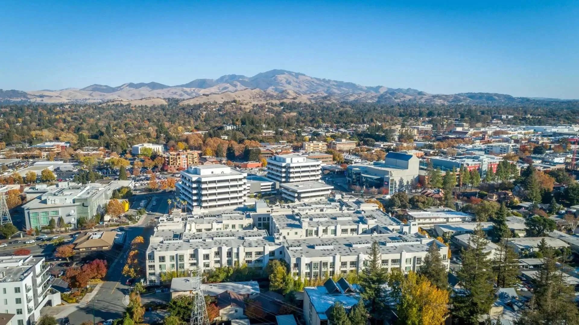 Mercer Walnut Creek Palisade Builders