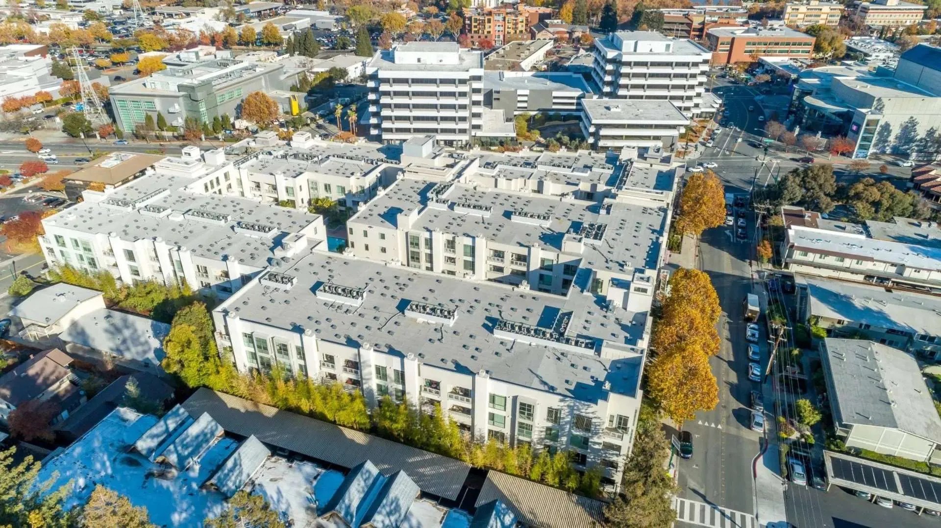 Mercer Walnut Creek Palisade Builders