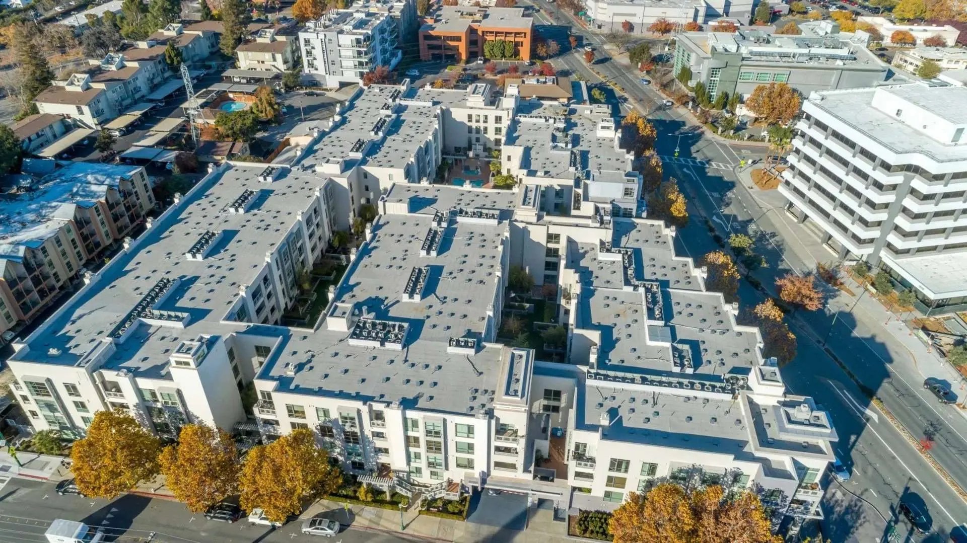 Mercer Walnut Creek Palisade Builders