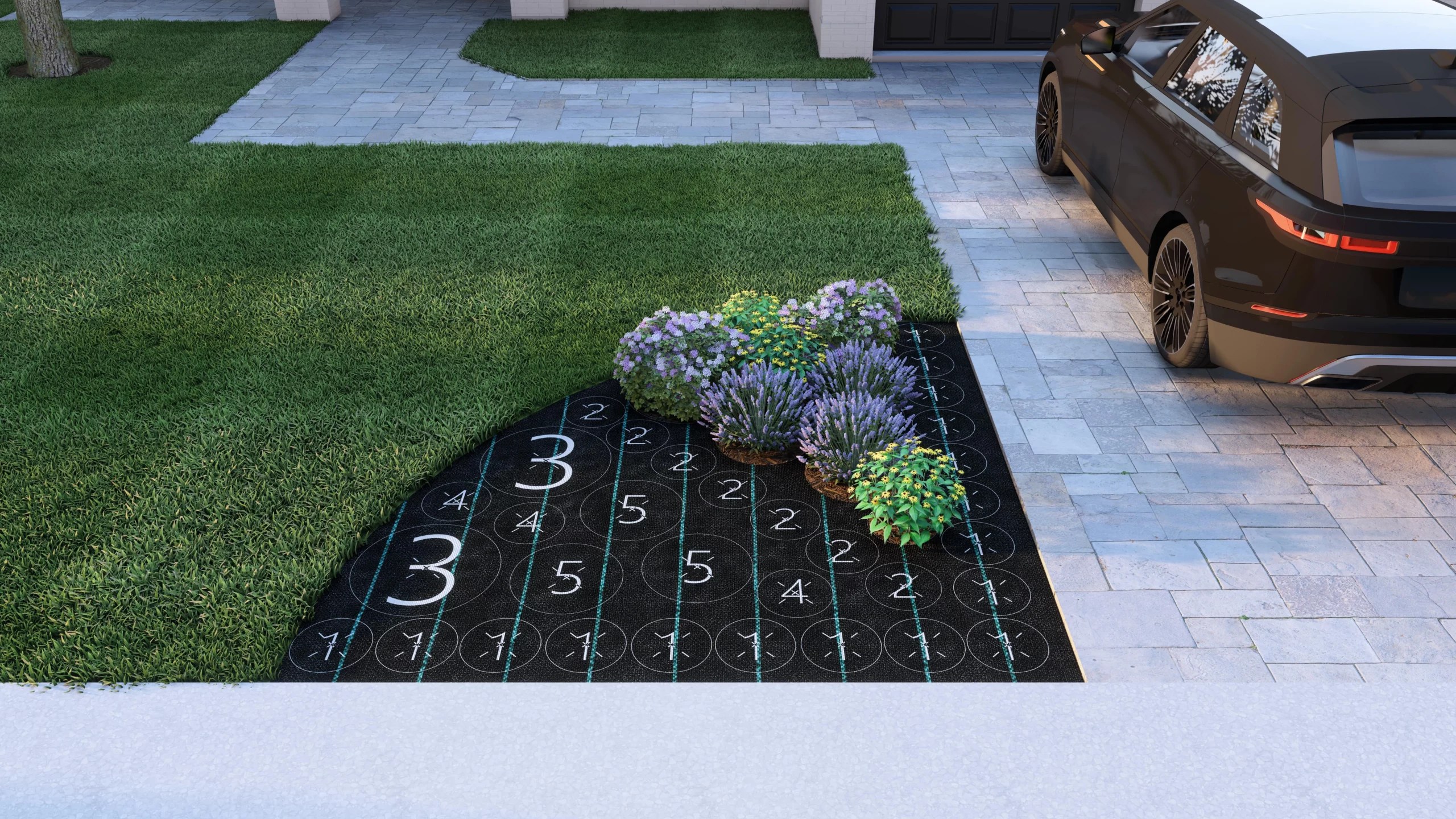 Lavender Drive Plant by Number