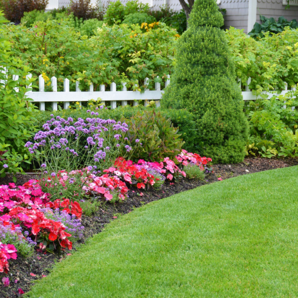 Simple Fence Line Landscaping Ideas On A Budget Plant by Number