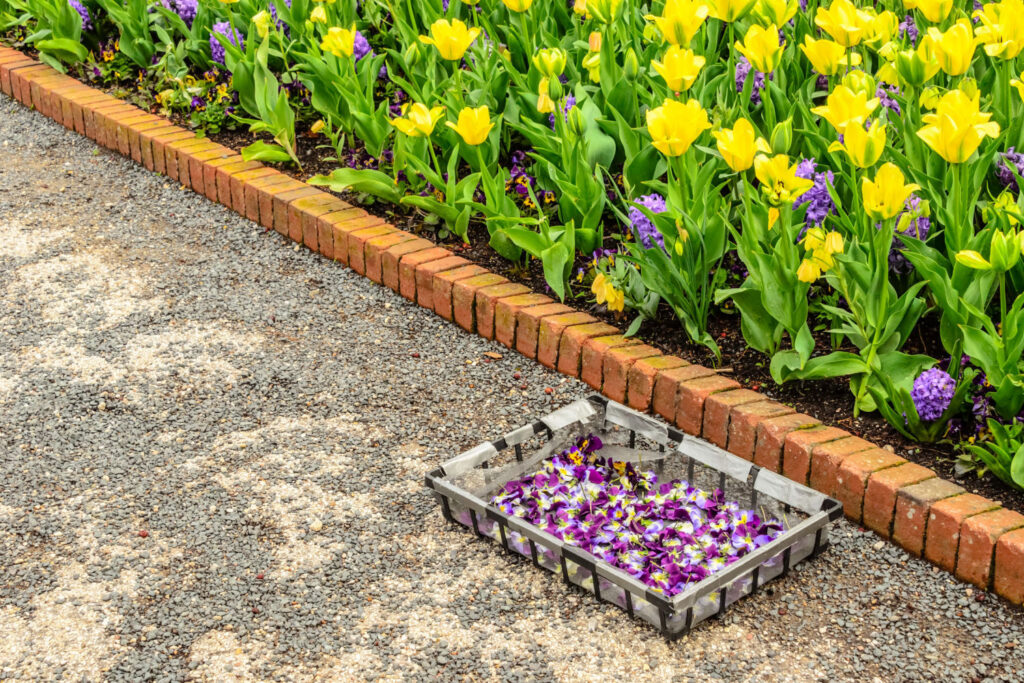 Driveway Landscaping On A Budget Simple Ideas That Make A Big Impact