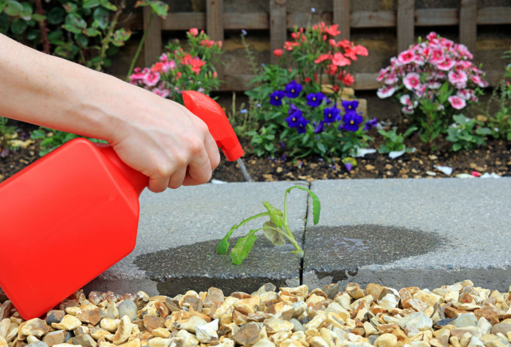 How to keep weeds out of flower beds forever Plant by Number