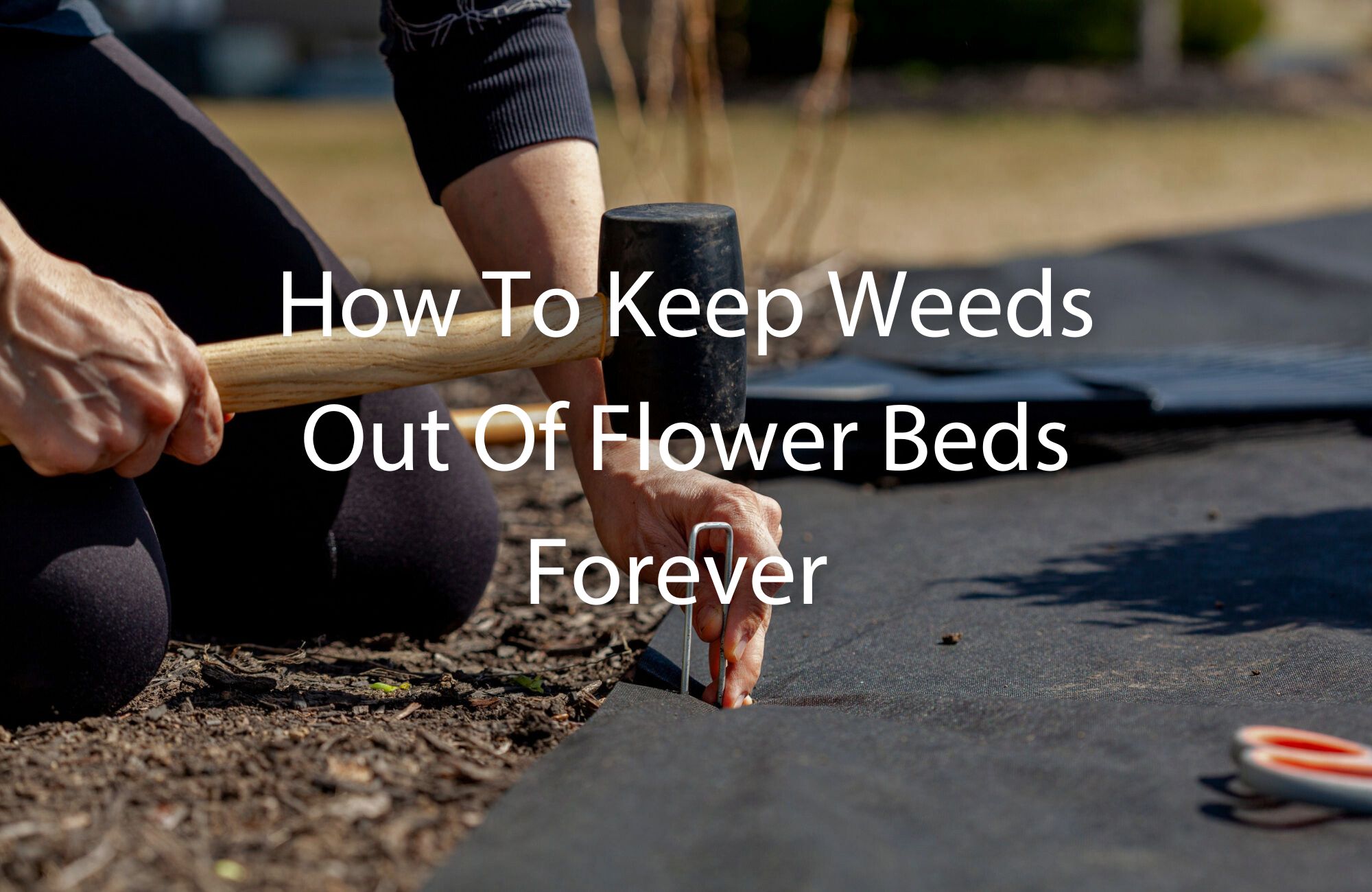 How to keep weeds out of flower beds forever Plant by Number