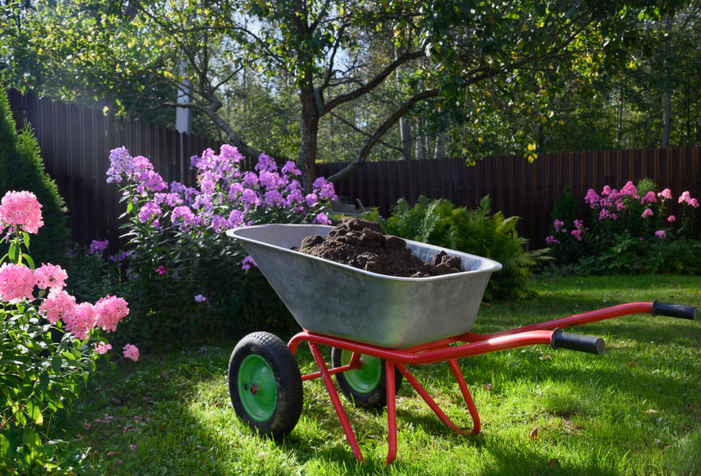 How to keep weeds out of flower beds forever Plant by Number