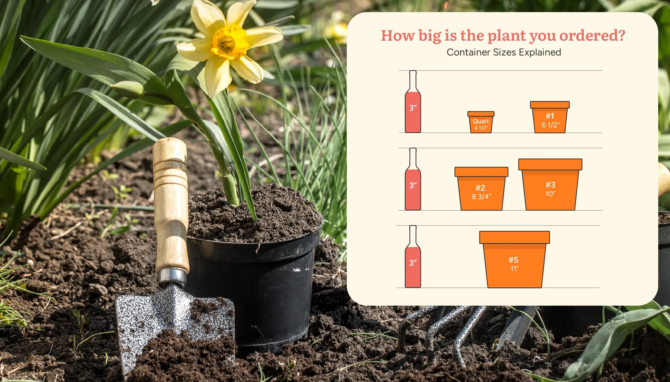Pot Sizes Plant by Number