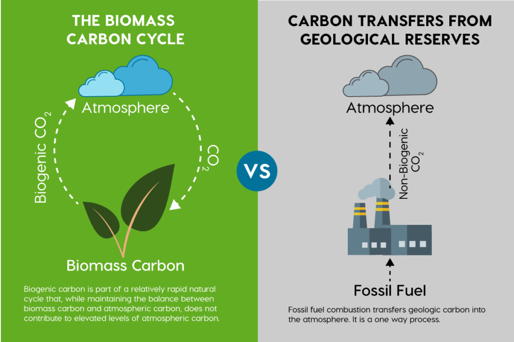 Plantbased Products Result in Less Carbon Emissions