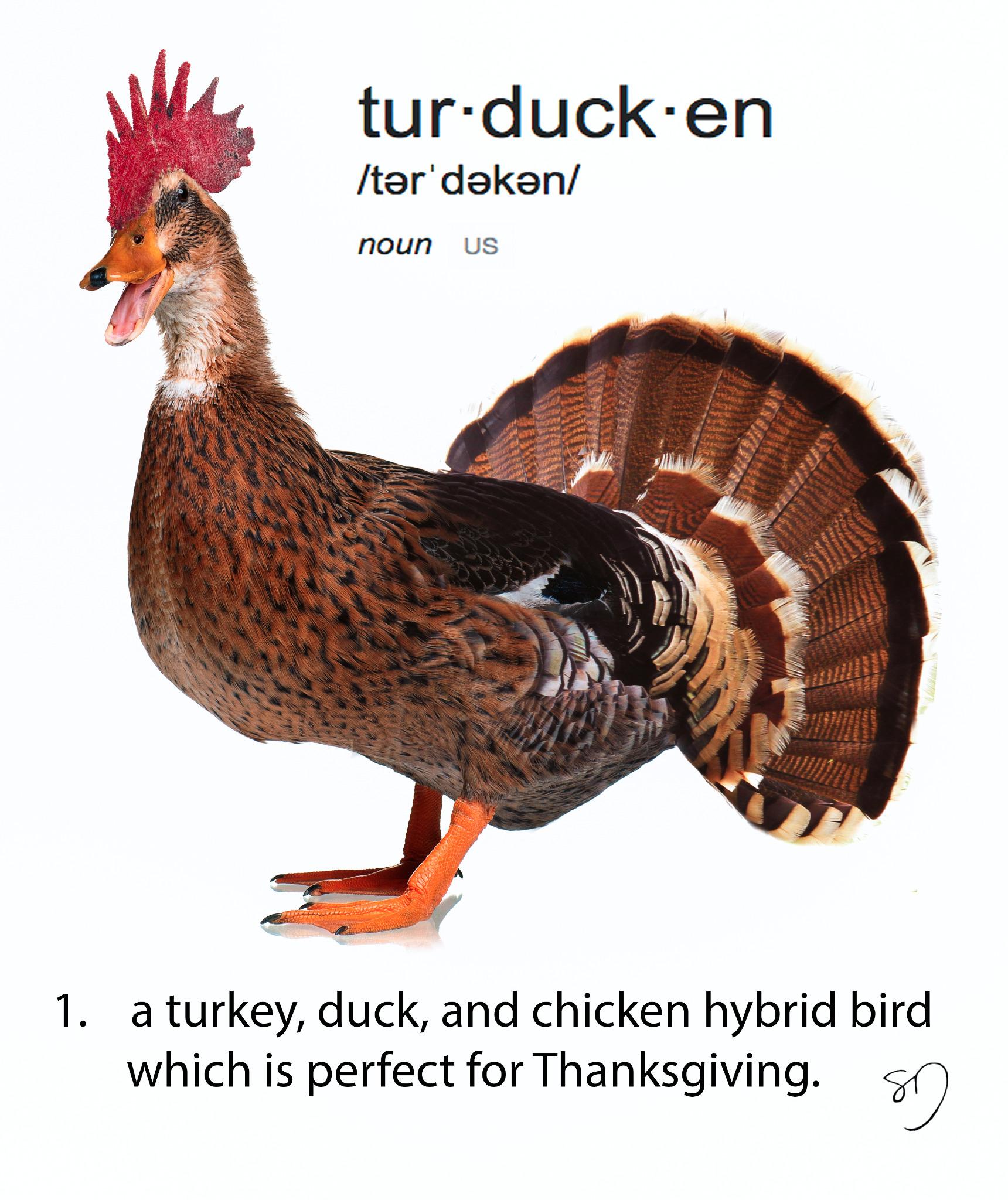 Turkey Chicken Hybrid