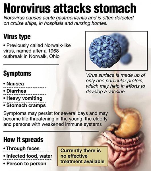 Daily Health Tips on Twitter "Norovirus Infection Facts about
