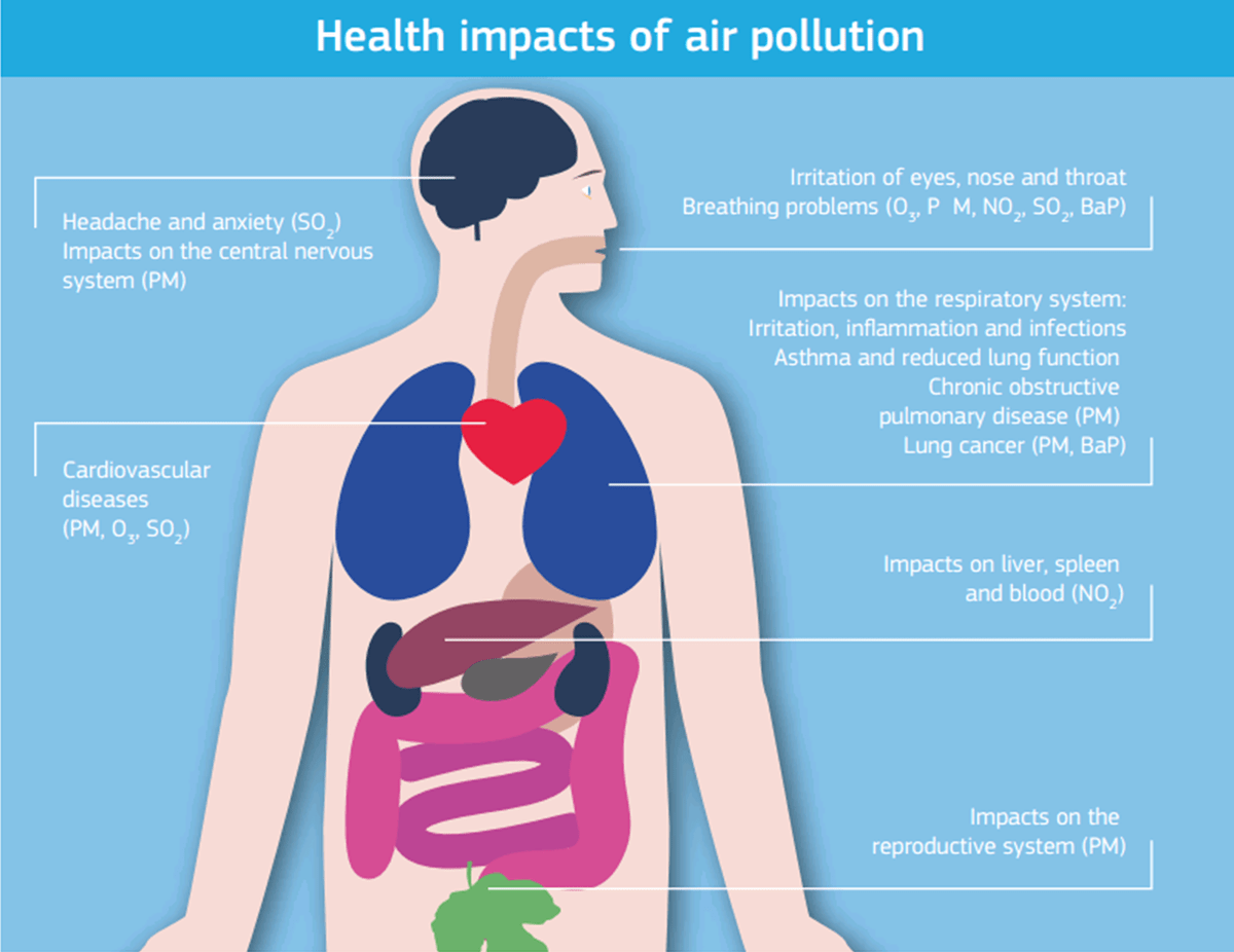 Air Pollution And Its Effects On Human Health The gray tower