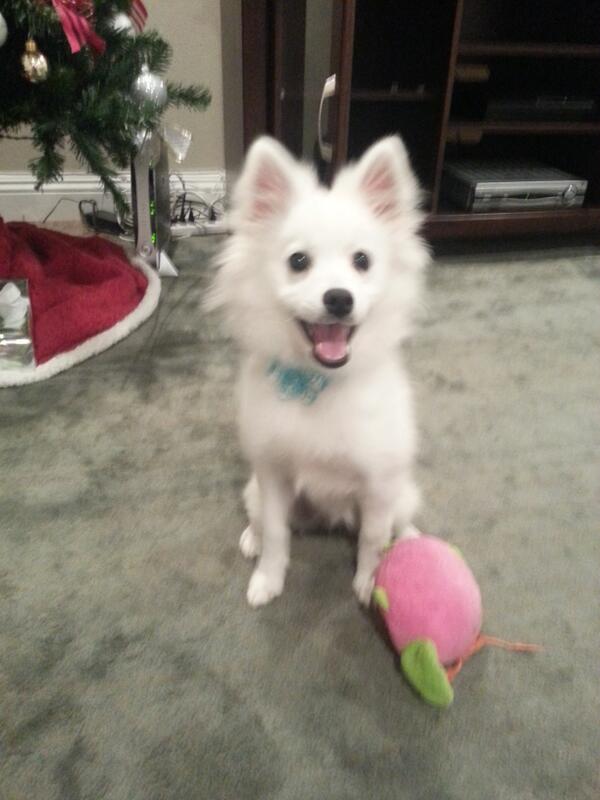 jacksfilms on Twitter "Every time I see someone walking