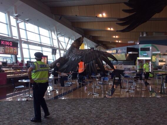Giant eagle falls in New Zealand airport after quake ITV