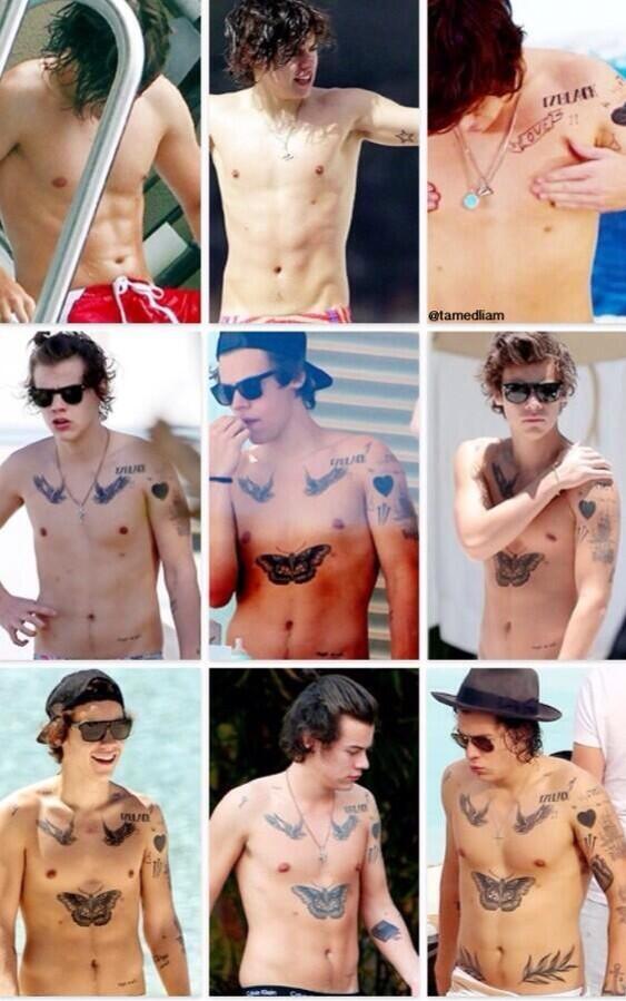 Uzivatel 1d Facts Na Twitteru Harry Styles Harry Styles Shirtless And Tattoo Evolution Onedirection Wwatour Http T Co K5btimrh9z Twitter