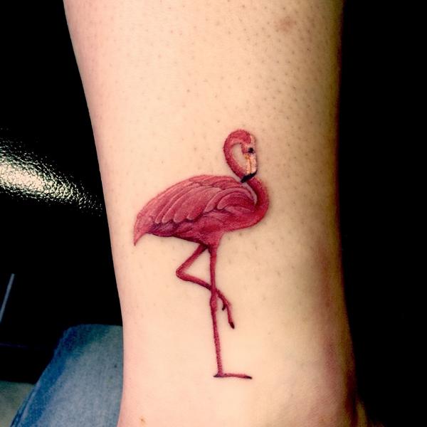 Scott Rowlands On Twitter: "Little Flamingo :)... #Swyd #Cardiff #Tattoo #Colour ##Small #Flamingo Http://T.co/Xrd0Ipzmgv" / Twitter 600_x_600_jpg