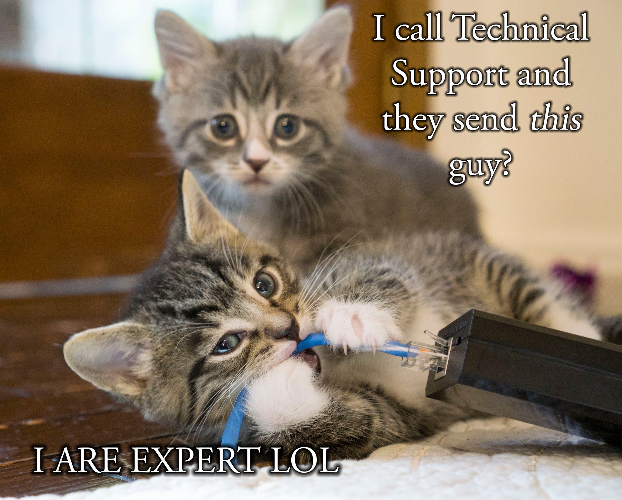 Kitten Academy on Twitter also says to reboot monthly to