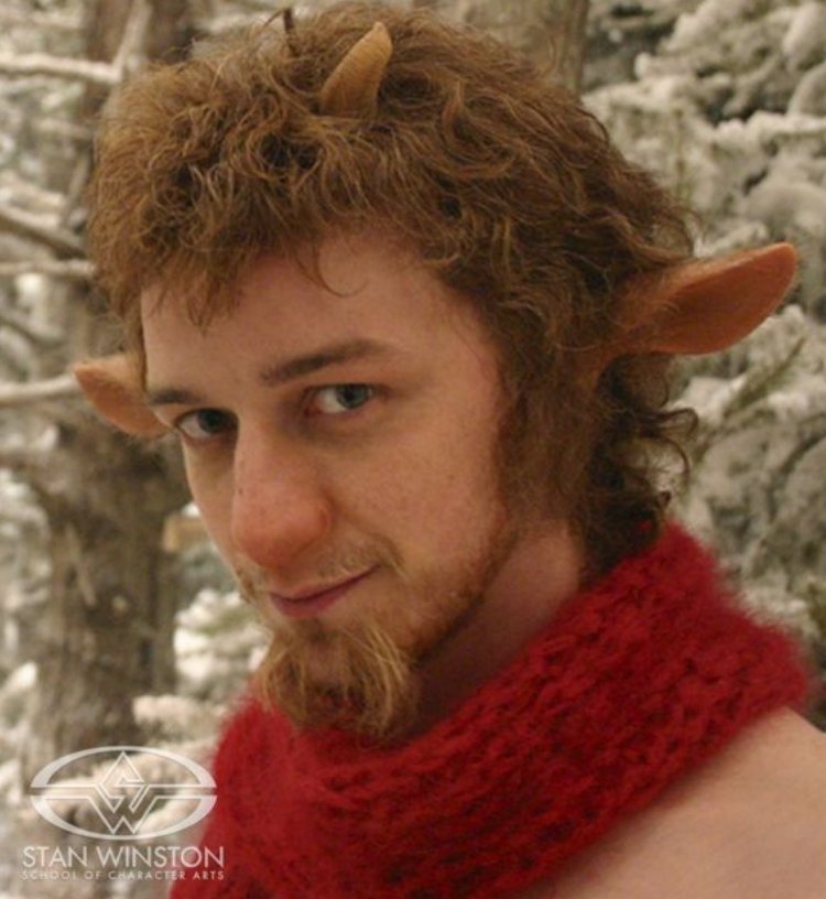 Mr Tumnus Narnia The Lion The Witch And The Wardrobe Wardobe Pedia