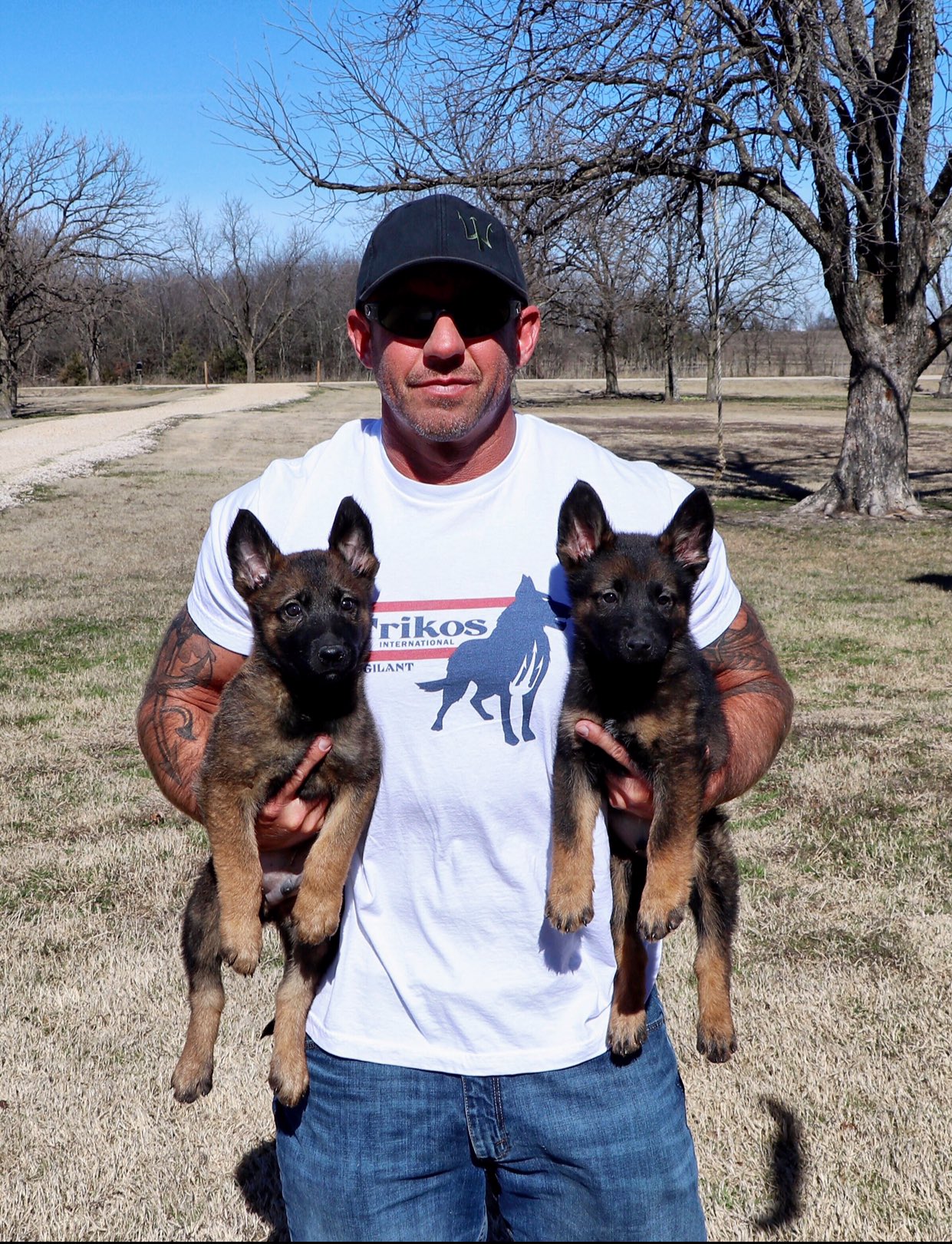 Mike Ritland on Twitter "Take a look at these puppies! Whether you