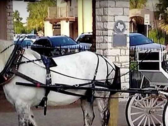 Horse And Carriage Houston Tx
